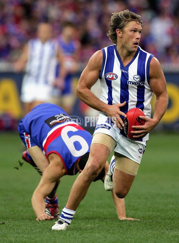 AFL 2006 Rd 14 - Western Bulldogs v Kangaroos - 39207