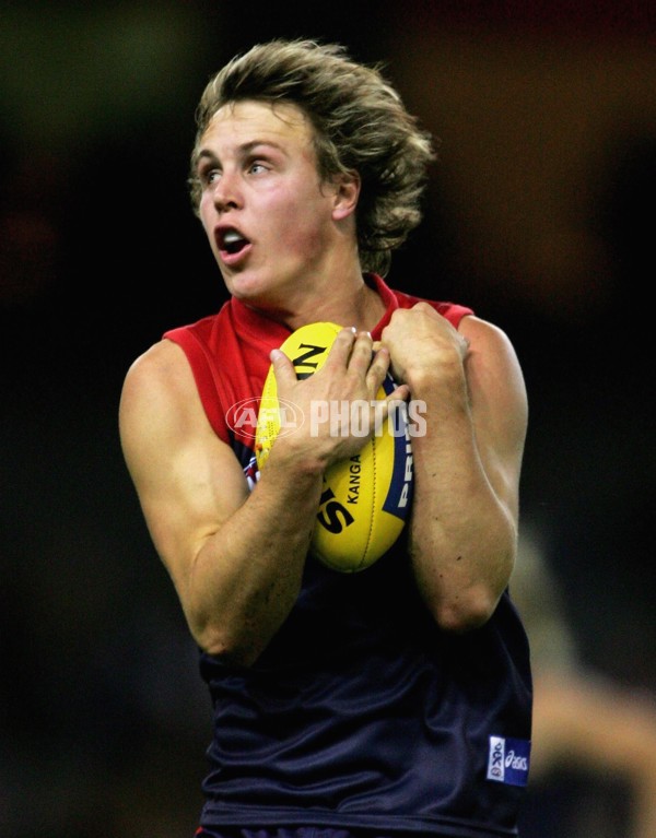 AFL 2006 Rd 1 - Melbourne v Carlton - 39536