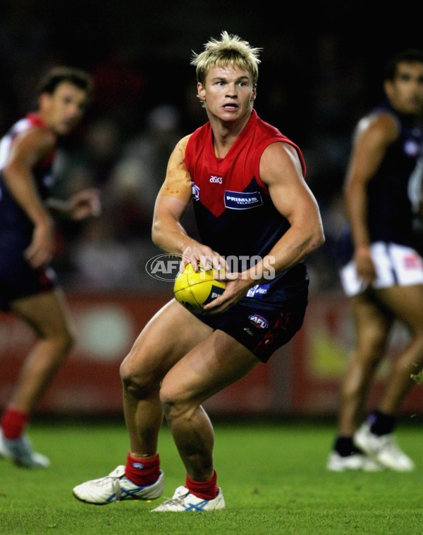 AFL 2006 Rd 1 - Melbourne v Carlton - 39546