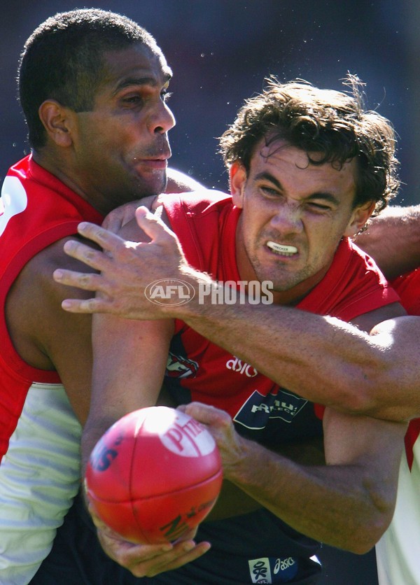 AFL 2006 Rd 4 - Sydney Swans v Melbourne - 39596