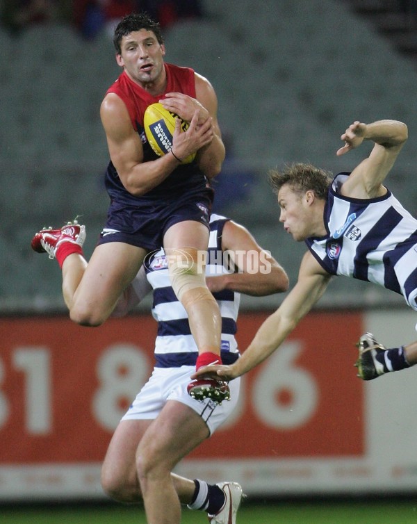 AFL 2006 Rd 6 - Melbourne v Geelong - 39701