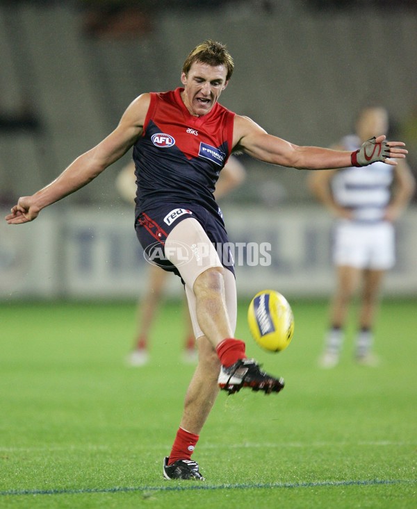 AFL 2006 Rd 6 - Melbourne v Geelong - 39737