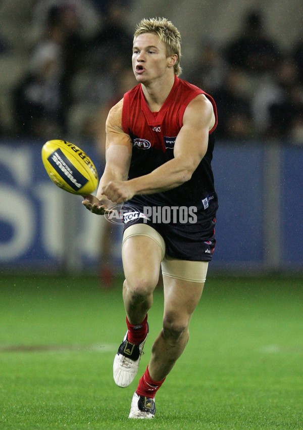 AFL 2006 Rd 6 - Melbourne v Geelong - 39745