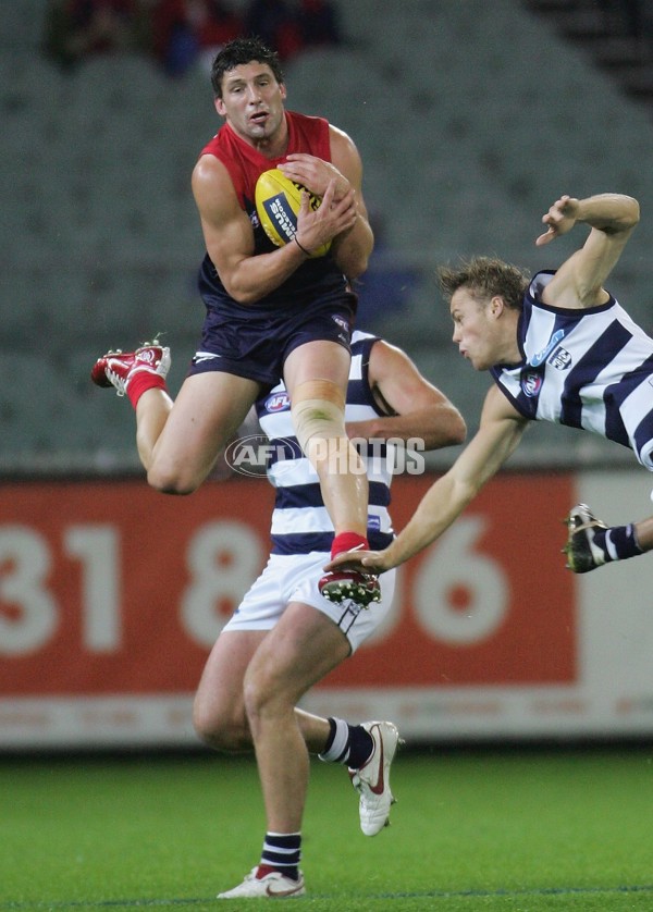 AFL 2006 Rd 6 - Melbourne v Geelong - 39711
