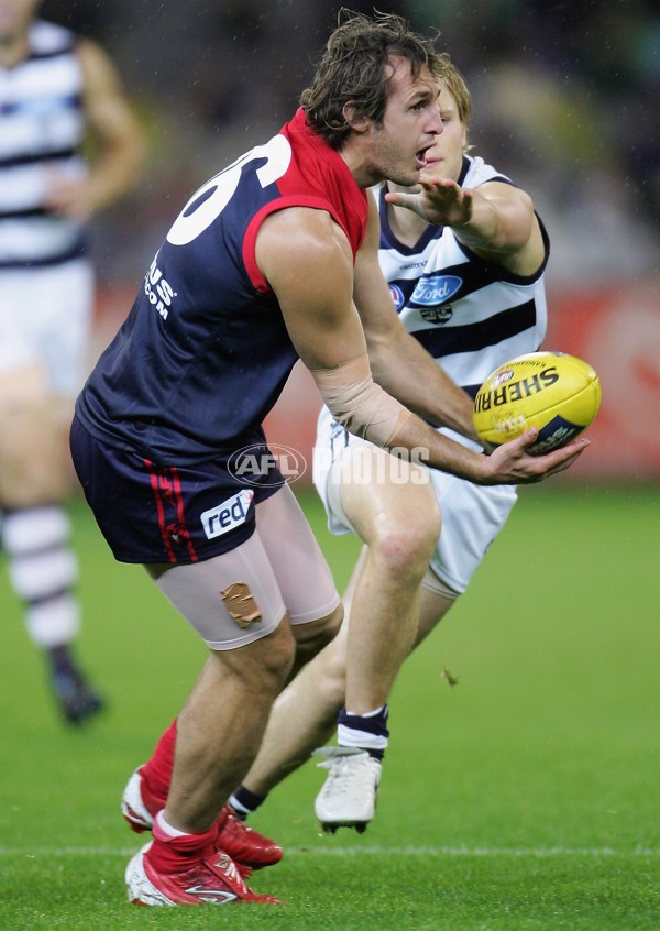 AFL 2006 Rd 6 - Melbourne v Geelong - 39702