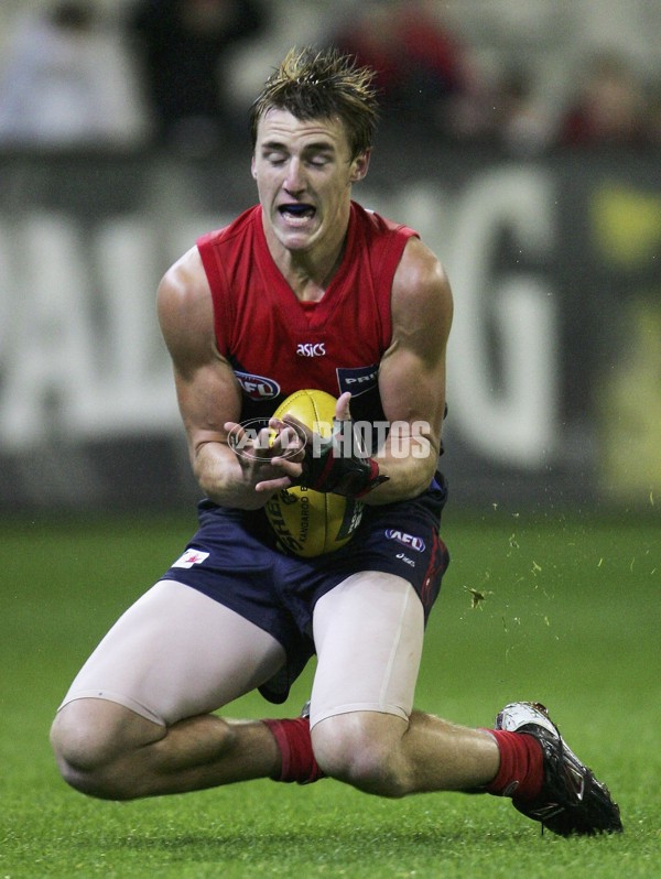 AFL 2006 Rd 6 - Melbourne v Geelong - 39732