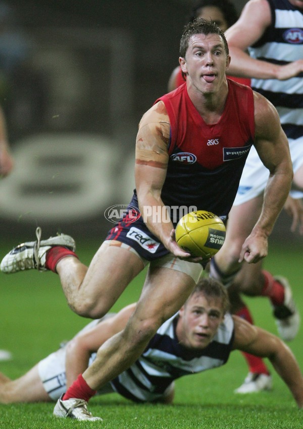 AFL 2006 Rd 6 - Melbourne v Geelong - 39730
