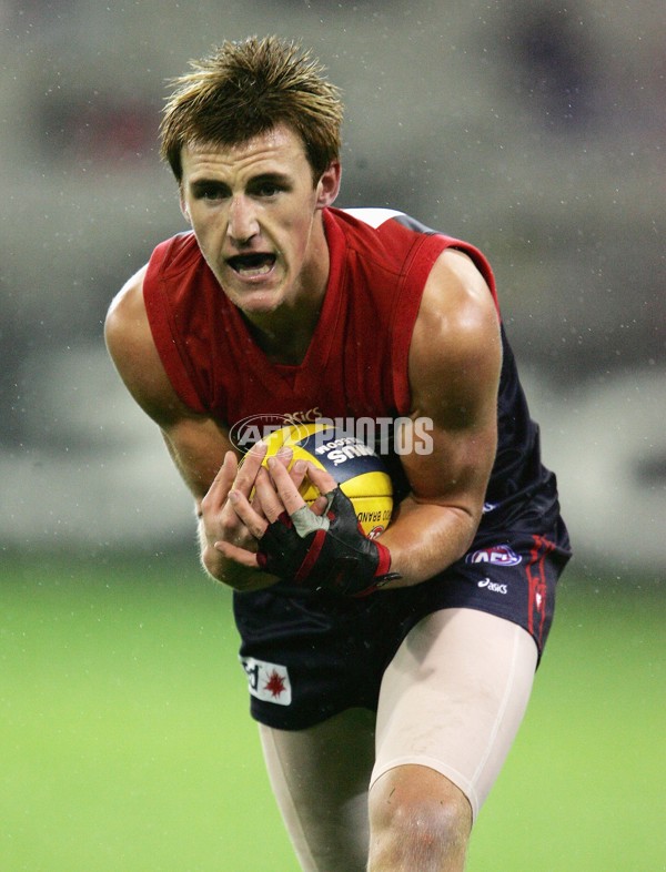 AFL 2006 Rd 6 - Melbourne v Geelong - 39738