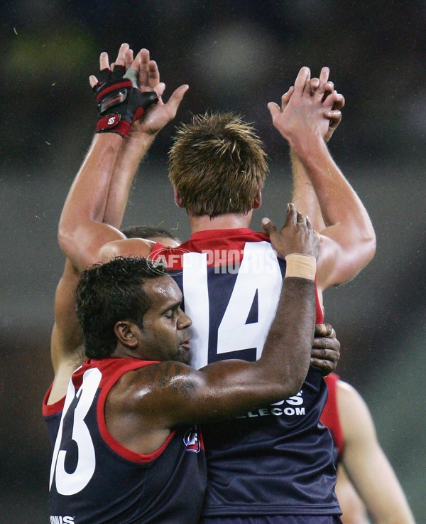 AFL 2006 Rd 6 - Melbourne v Geelong - 39720
