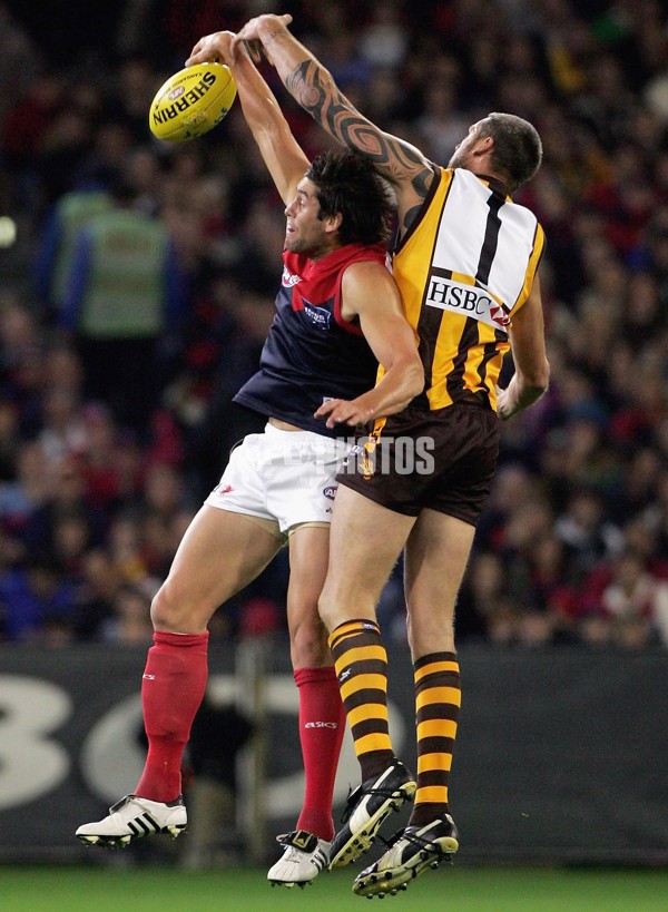 AFL 2006 Rd 8 - Hawthorn v Melbourne - 39824