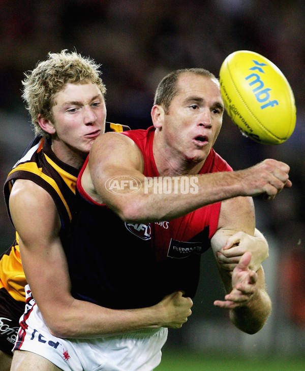 AFL 2006 Rd 8 - Hawthorn v Melbourne - 39826