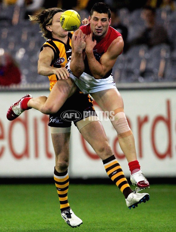 AFL 2006 Rd 8 - Hawthorn v Melbourne - 39823