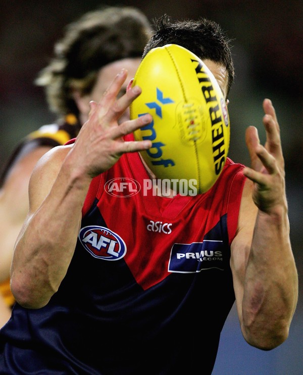 AFL 2006 Rd 8 - Hawthorn v Melbourne - 39832