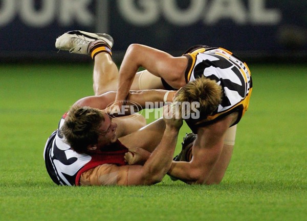 AFL 2006 Rd 8 - Hawthorn v Melbourne - 39825