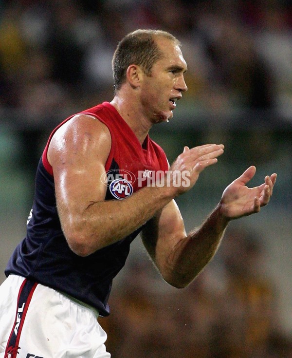 AFL 2006 Rd 8 - Hawthorn v Melbourne - 39828