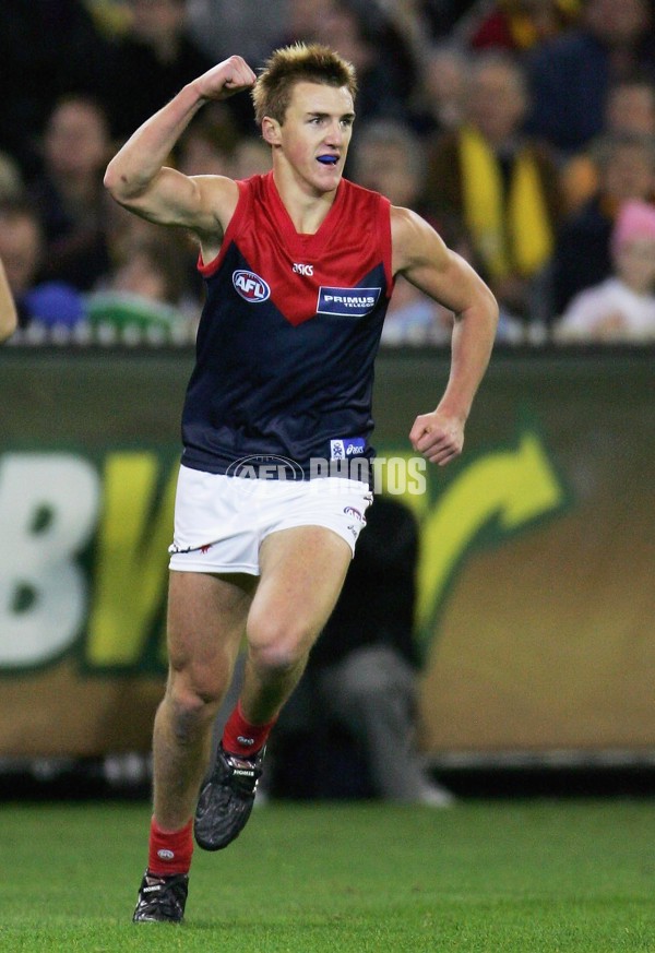 AFL 2006 Rd 8 - Hawthorn v Melbourne - 39829