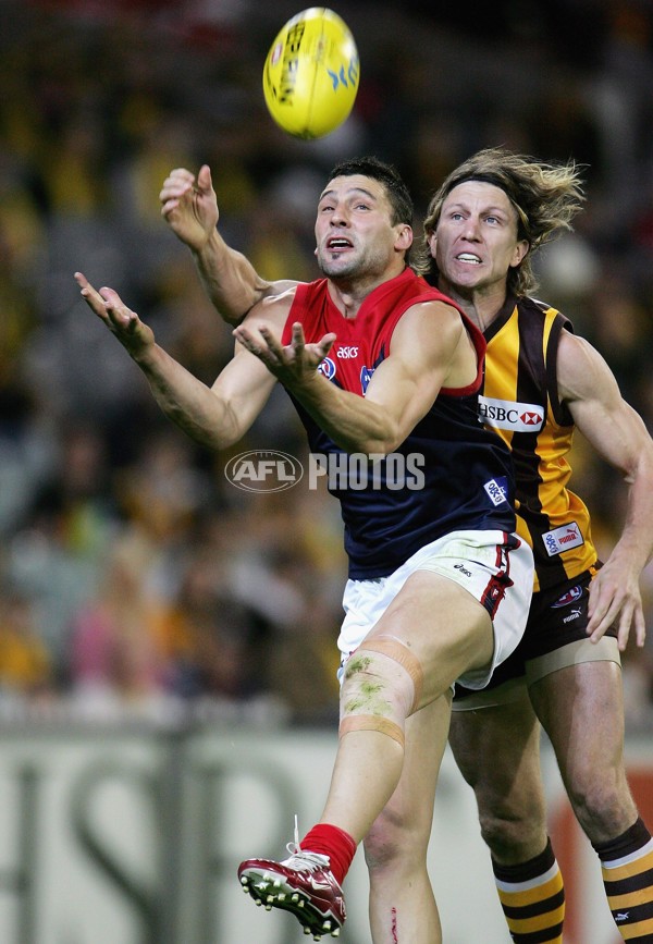 AFL 2006 Rd 8 - Hawthorn v Melbourne - 39838