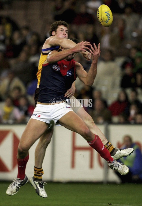 AFL 2006 Rd 8 - Hawthorn v Melbourne - 39844