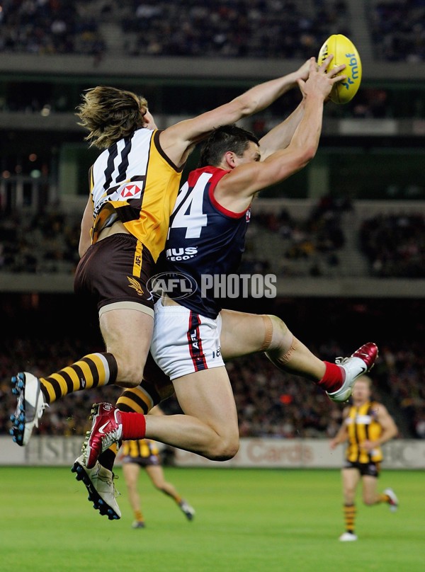 AFL 2006 Rd 8 - Hawthorn v Melbourne - 39831