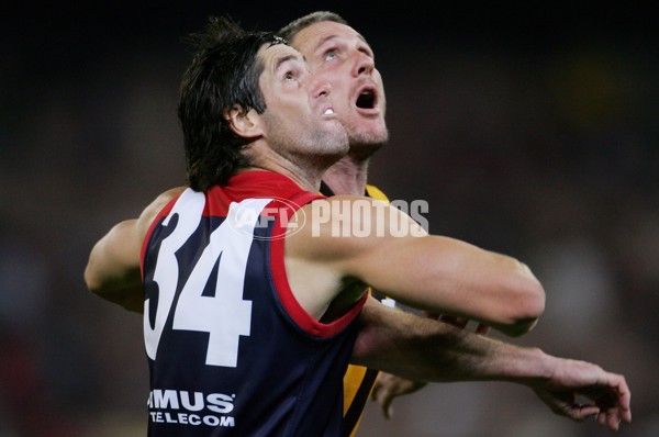 AFL 2006 Rd 8 - Hawthorn v Melbourne - 39847