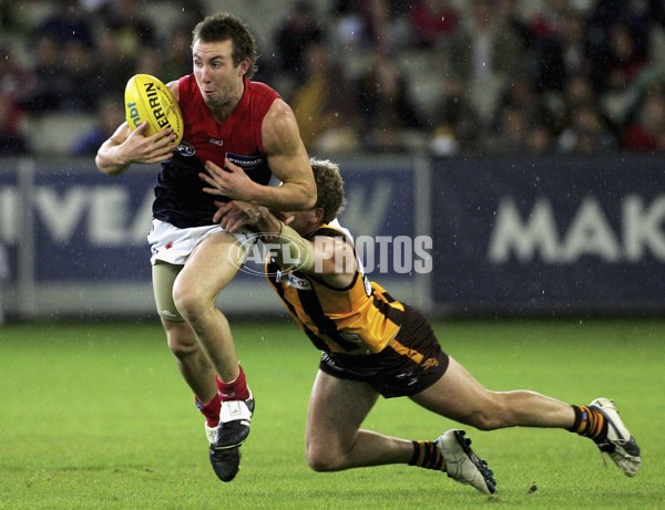 AFL 2006 Rd 8 - Hawthorn v Melbourne - 39843