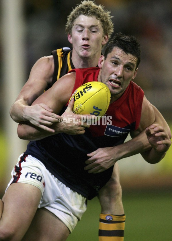 AFL 2006 Rd 8 - Hawthorn v Melbourne - 39845