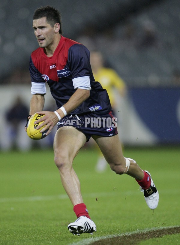 AFL 2006 Rd 6 - Melbourne v Geelong - 39860