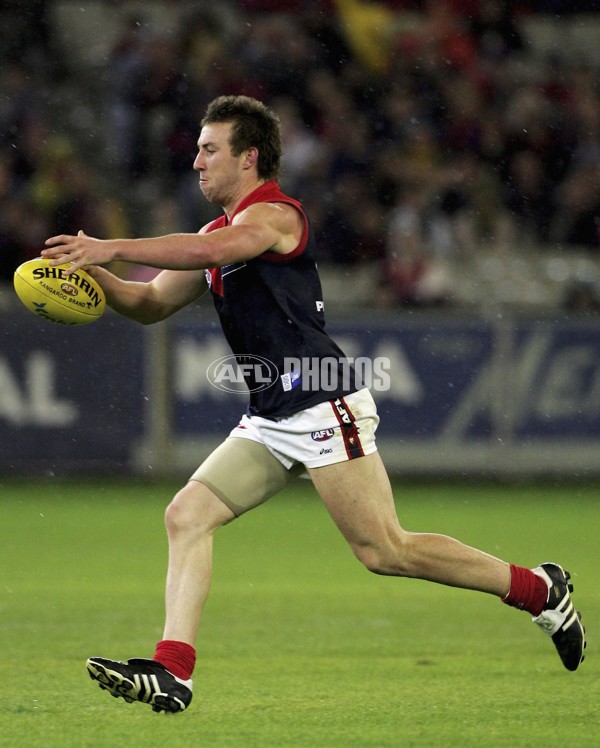 AFL 2006 Rd 8 - Hawthorn v Melbourne - 39855