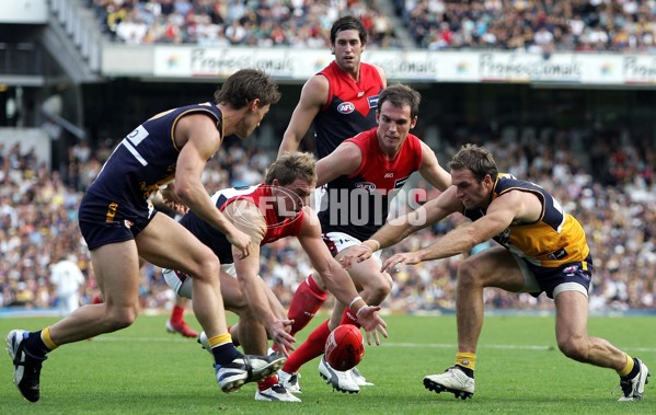 AFL 2006 Rd 9 - West Coast Eagles v Melbourne - 39886