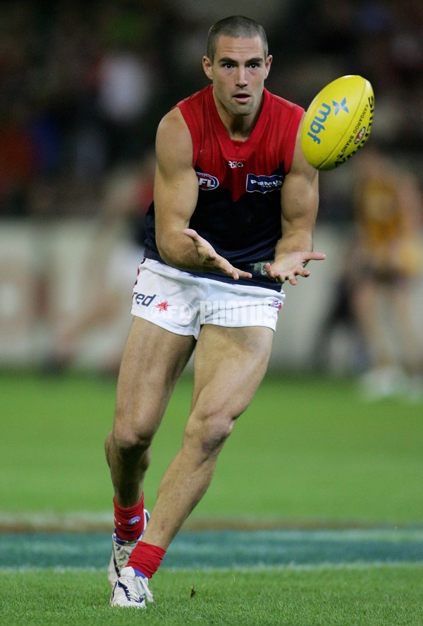 AFL 2006 Rd 8 - Hawthorn v Melbourne - 39852