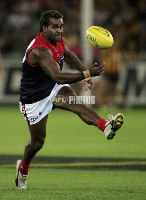 AFL 2006 Rd 8 - Hawthorn v Melbourne - 39857