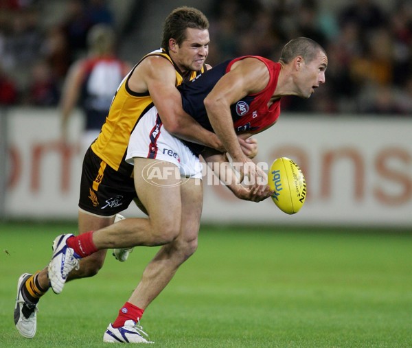 AFL 2006 Rd 8 - Hawthorn v Melbourne - 39851