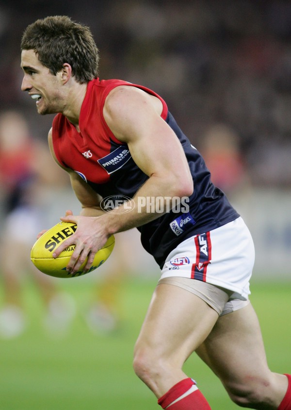 AFL 2006 Rd 8 - Hawthorn v Melbourne - 39853