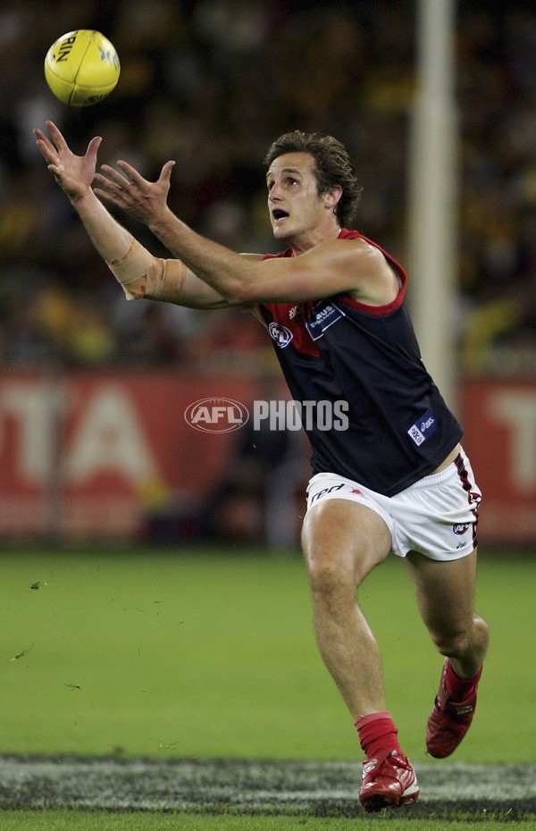 AFL 2006 Rd 8 - Hawthorn v Melbourne - 39859