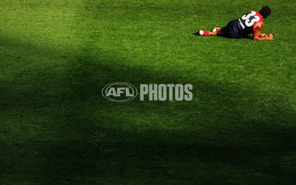 AFL 2006 Rd 17 - Melbourne v Western Bulldogs - 40084