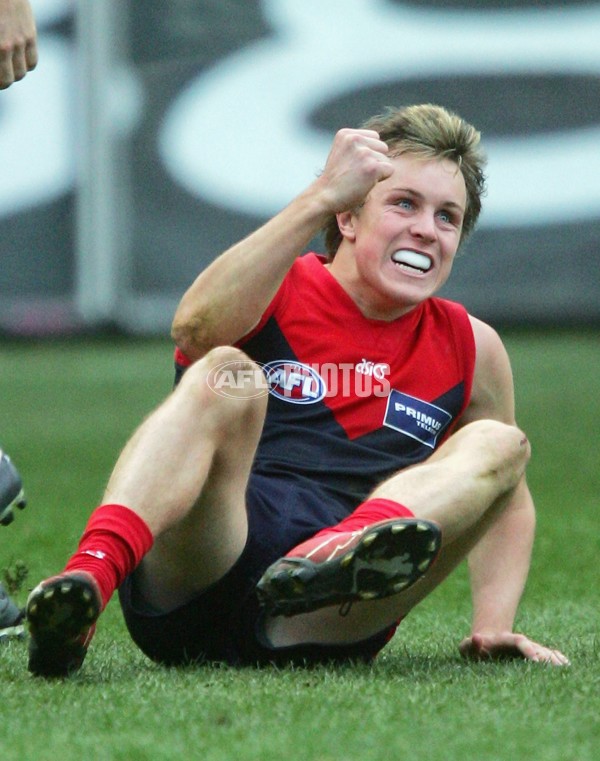 AFL 2006 Rd 17 - Melbourne v Western Bulldogs - 40105