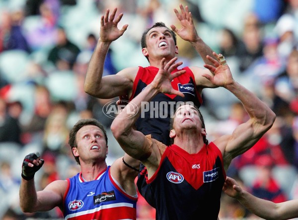 AFL 2006 Rd 17 - Melbourne v Western Bulldogs - 40114