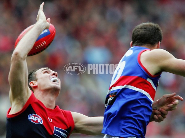 AFL 2006 Rd 17 - Melbourne v Western Bulldogs - 40111