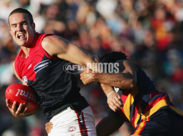 AFL 2006 Rd 22 - Adelaide Crows v Melbourne - 40220