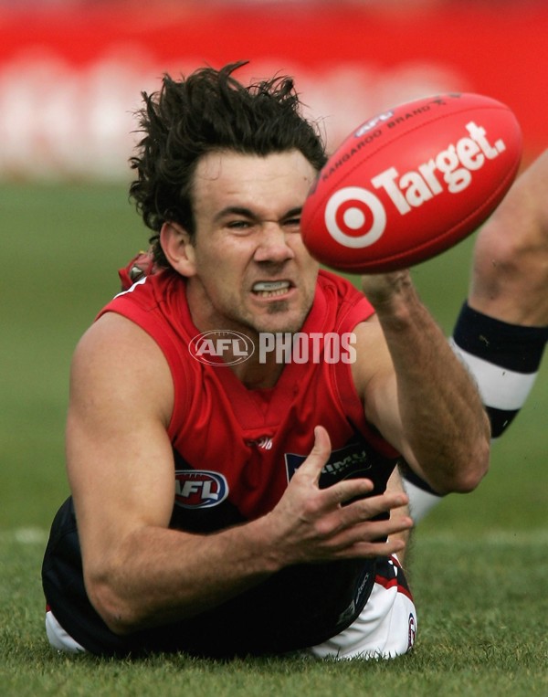 AFL 2006 Rd 21 - Geelong v Melbourne - 40192
