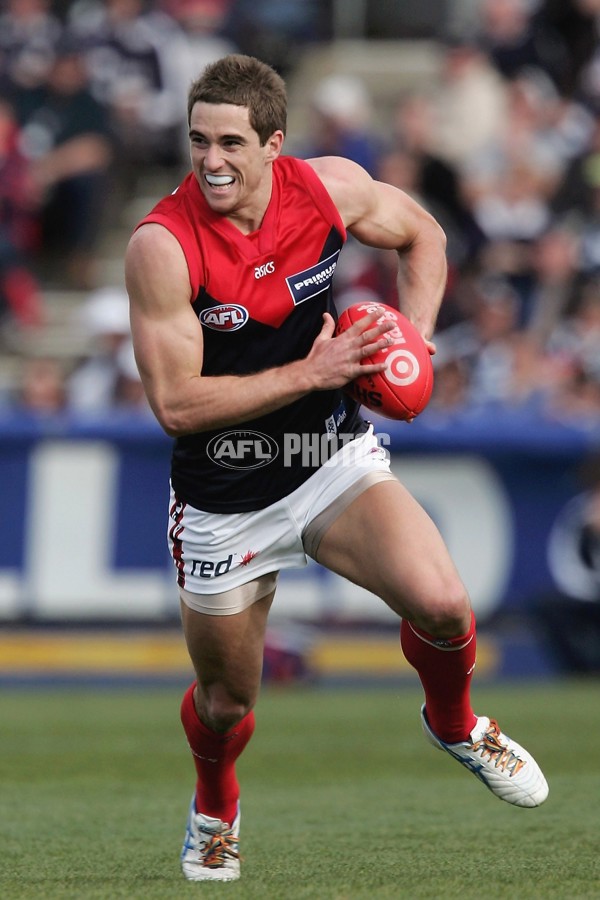 AFL 2006 Rd 21 - Geelong v Melbourne - 40196