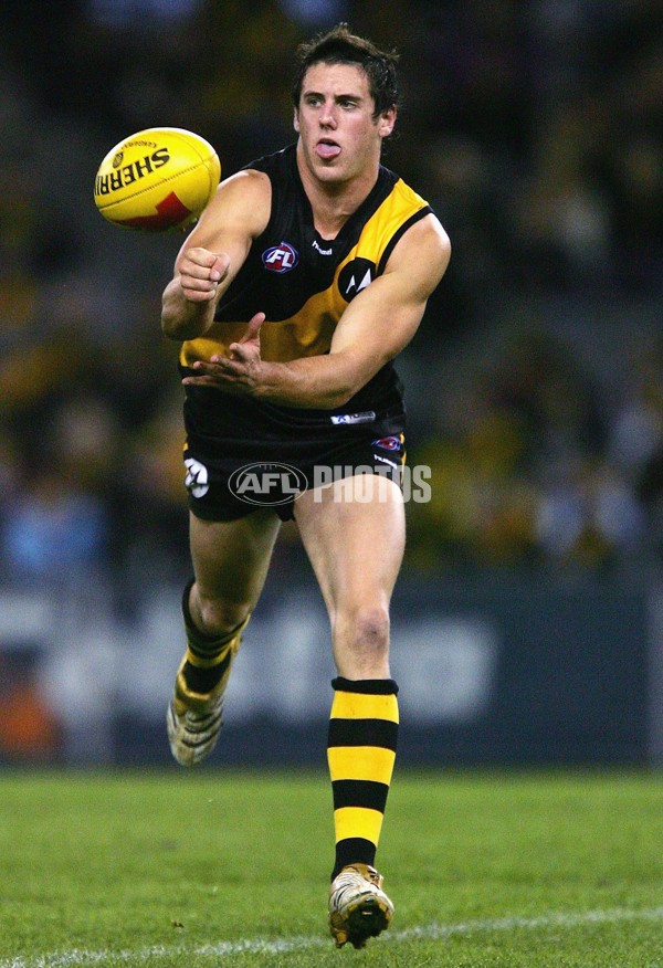 AFL 2006 Rd 7 - Richmond v Sydney Swans - 41110