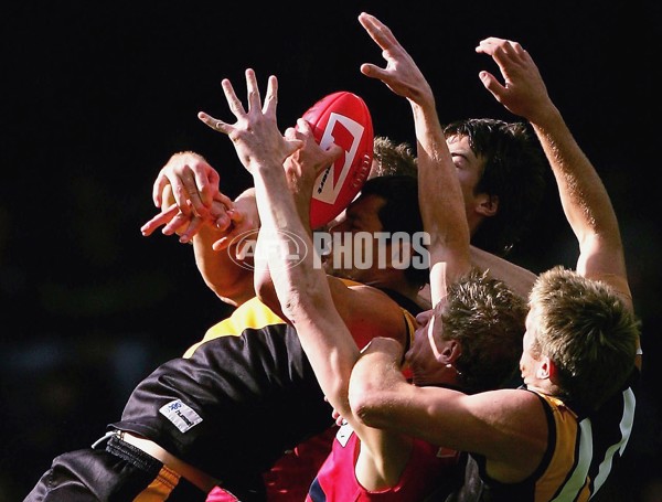 AFL 2006 Rd 8 - Richmond v Adelaide Crows - 41122