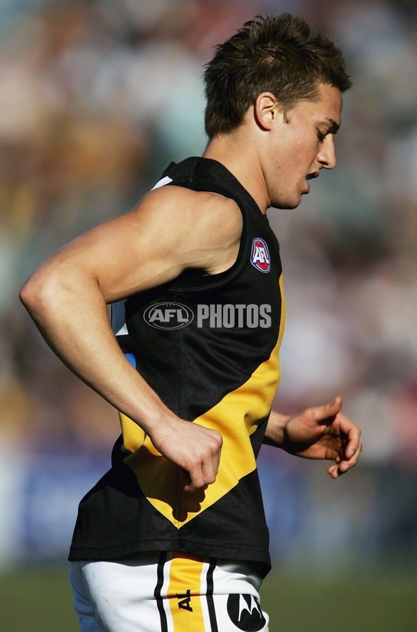AFL 2006 Rd 12 - Hawthorn v Richmond - 41241