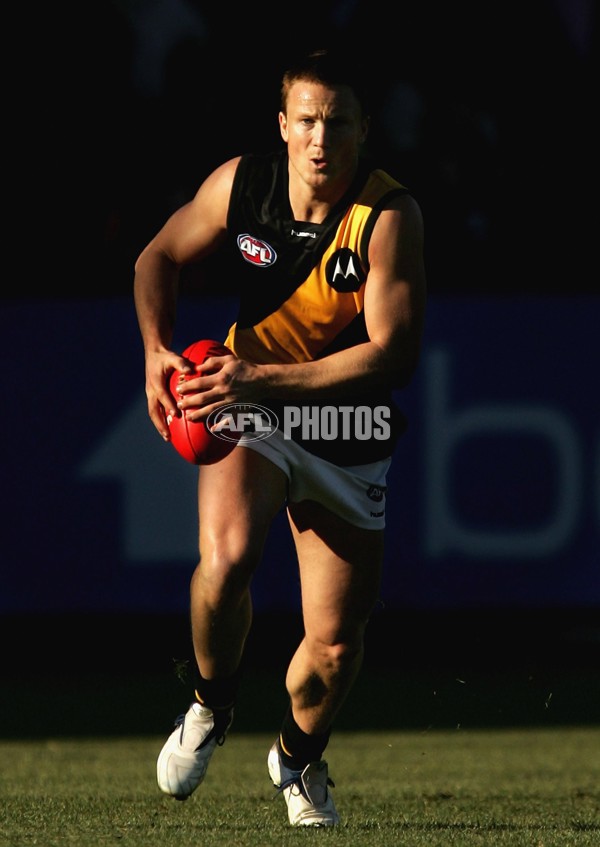AFL 2006 Rd 12 - Hawthorn v Richmond - 41253