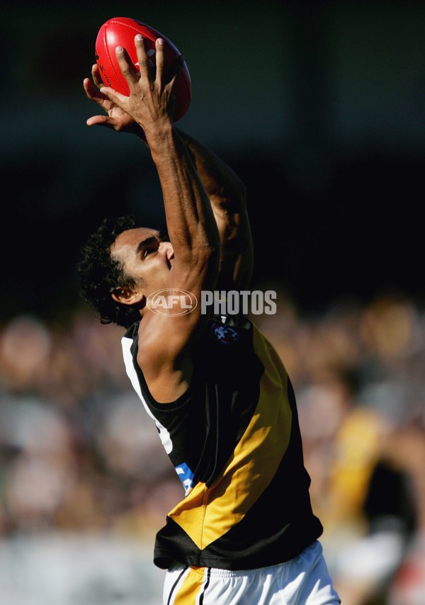 AFL 2006 Rd 12 - Hawthorn v Richmond - 41240