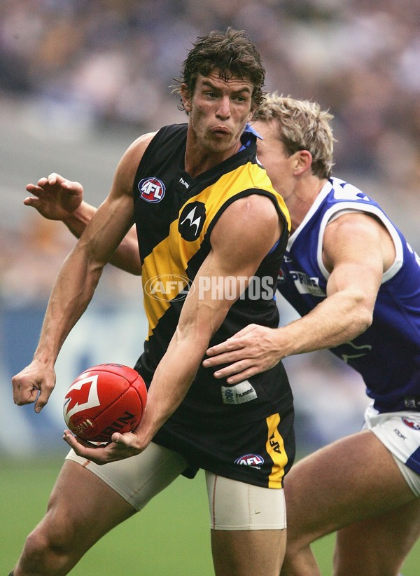 AFL 2006 Rd 11 - Richmond v Kangaroos - 41207