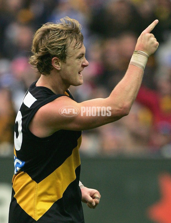 AFL 2006 Rd 11 - Richmond v Kangaroos - 41199