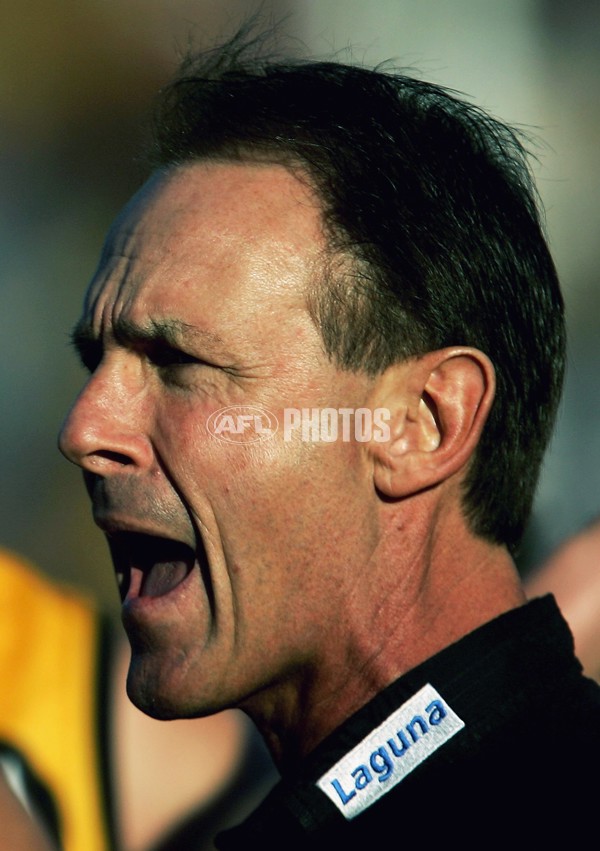 AFL 2006 Rd 12 - Hawthorn v Richmond - 41249