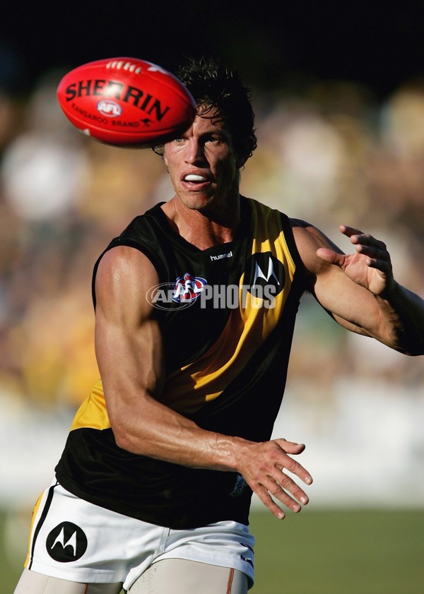 AFL 2006 Rd 12 - Hawthorn v Richmond - 41245